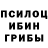 Псилоцибиновые грибы мухоморы Mukta Gandhi