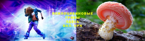 a pvp Арсеньев