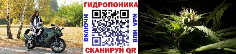Бошки Шишки AK-47  Купить закладки  Ахтубинск 